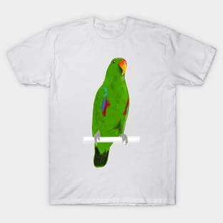 Ekkie Cute Green Eclectus Parrot for parrot lovers T-Shirt